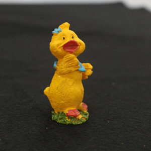 Baby Chicken