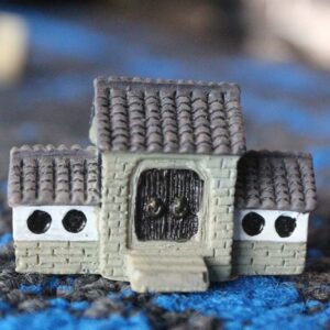 House new