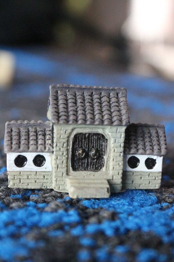 House new