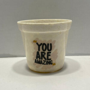 Melamine Pots