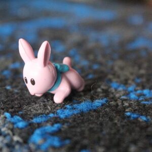 Rabbit