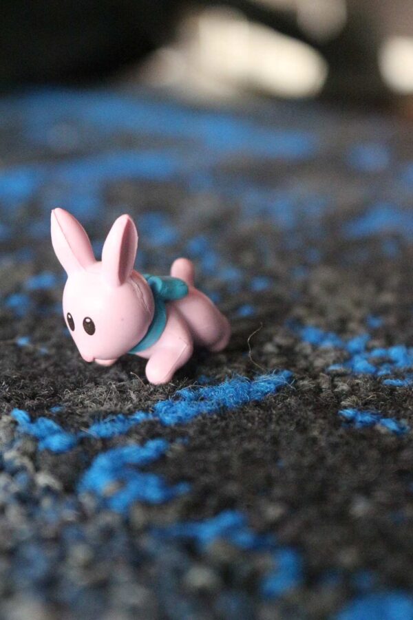 Rabbit