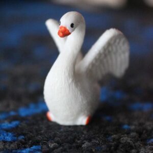 Swan White