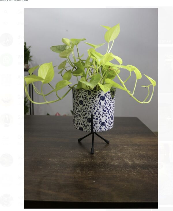 Metall planters
