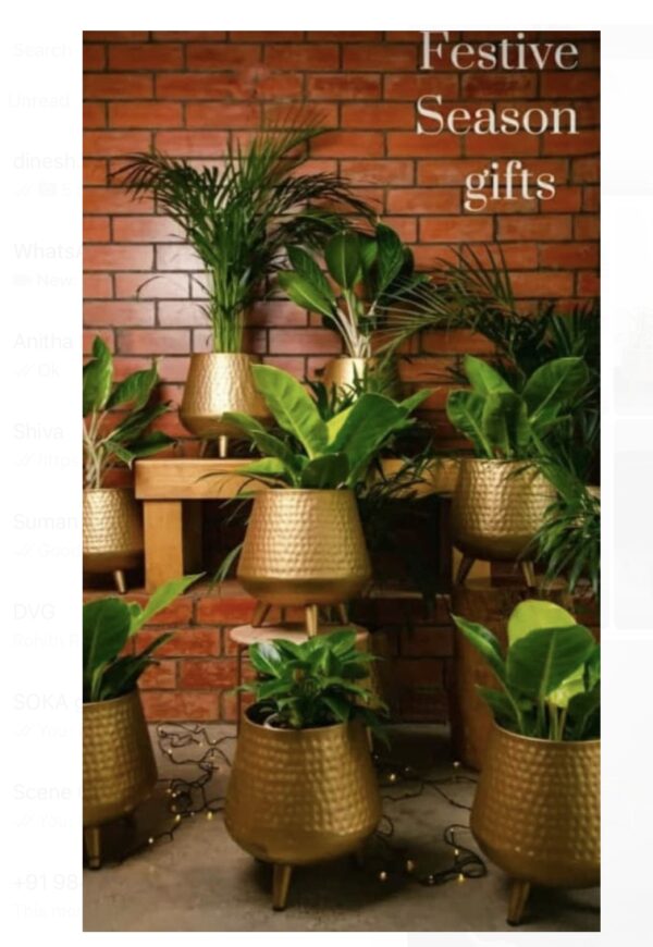 Golden Metal planters
