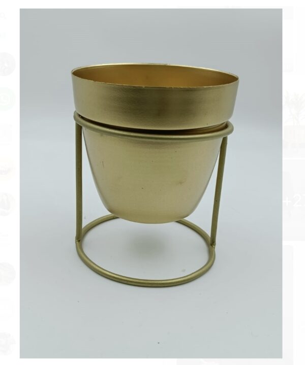 Golden planters