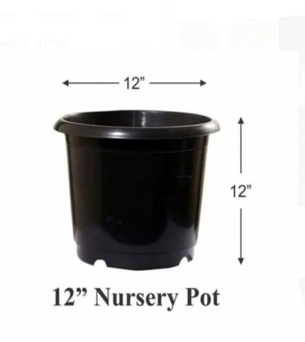 Nursery pot