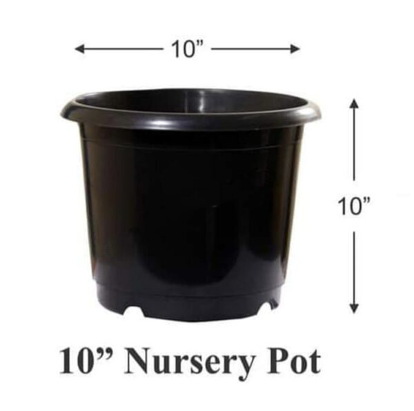 Nursery pots